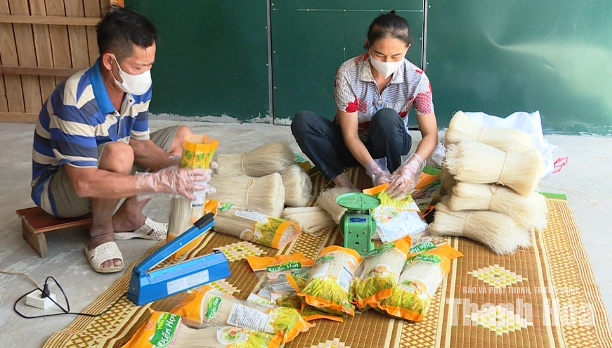 Đưa hạt “ngọc thực” thành sản phẩm OCOP