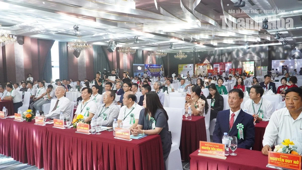 Chi hội Quảng cáo Thanh Hóa lấy hội viên làm trung tâm, dữ liệu làm nền tảng, đào tạo và liên kết làm động lực