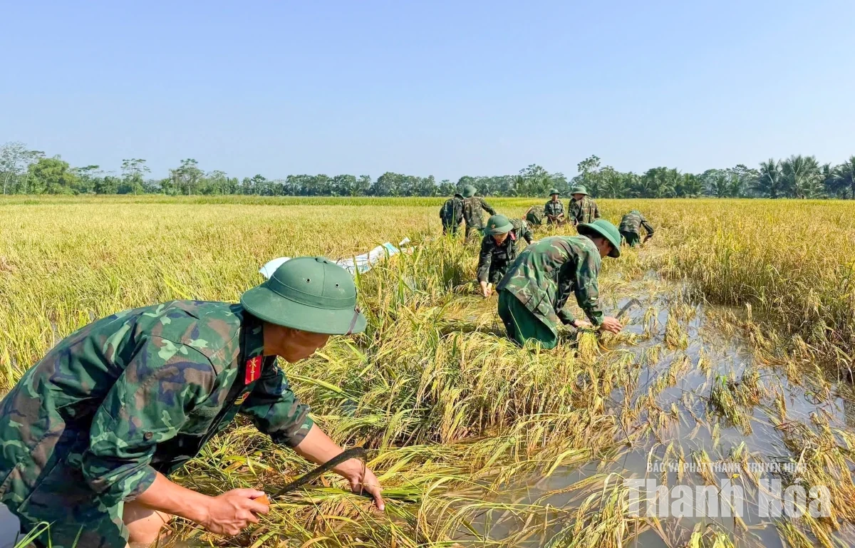 Tích cực hỗ trợ người dân vùng lũ Kim Tân