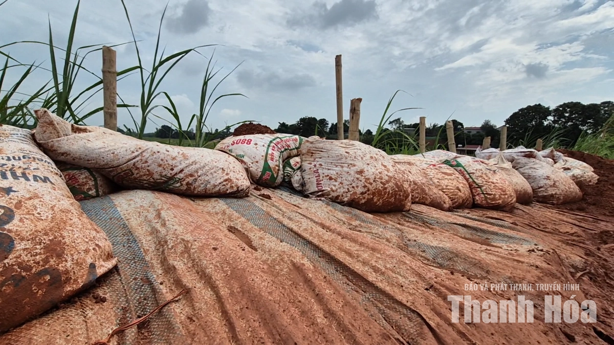 Nhiều tuyến đê bao lộ điểm yếu