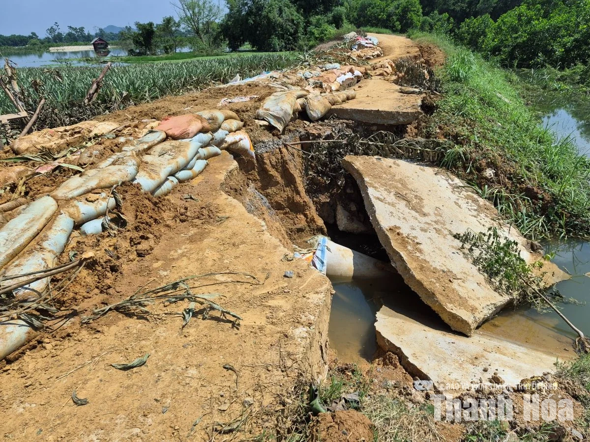 Nhiều tuyến đê bao lộ điểm yếu