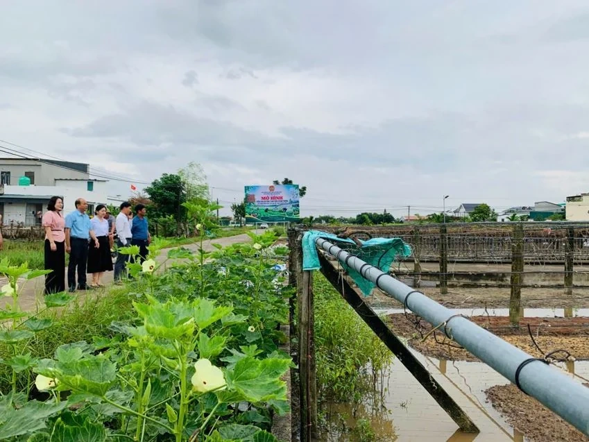 Tập huấn bảo vệ môi trường gắn với sản xuất nông nghiệp