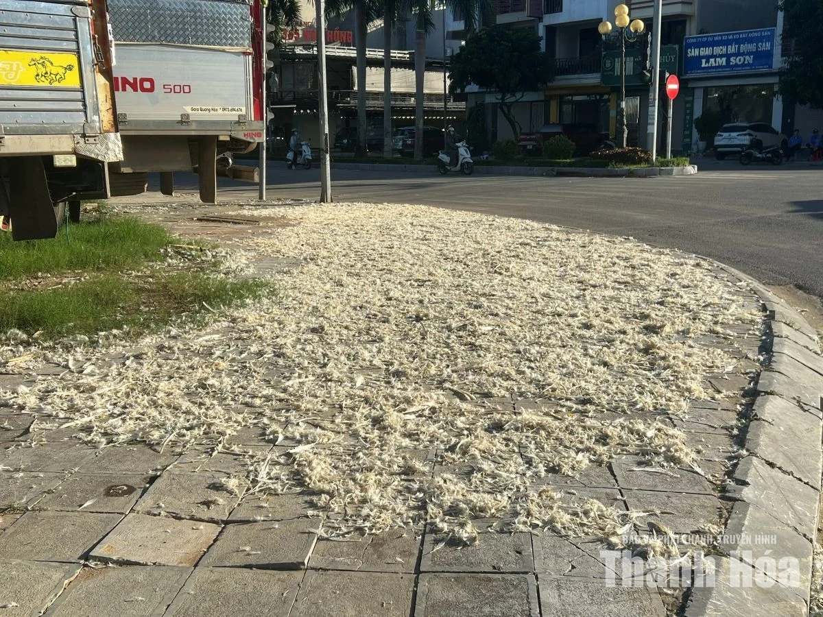 Đừng để rác thải trở thành câu chuyện của ý thức