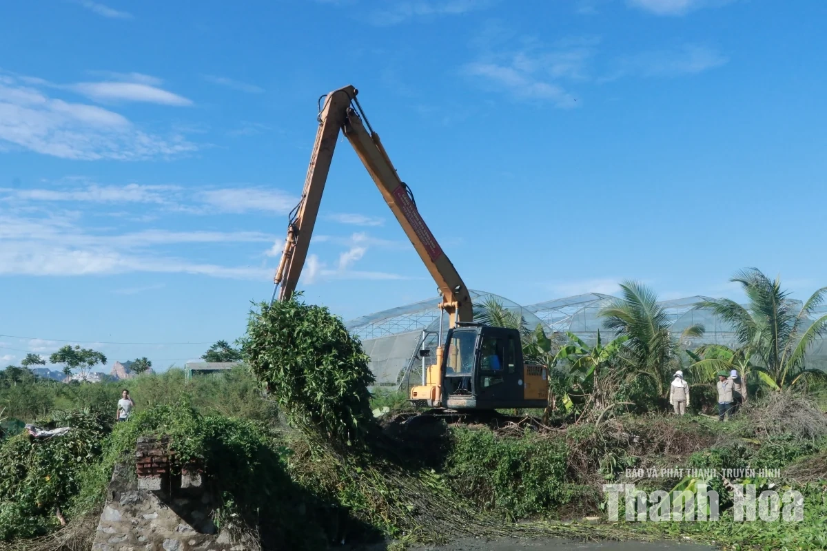 Dòng chảy kênh Nhà Lê bị bủa vây bởi rác, bèo