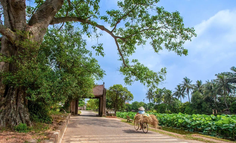 [E-Magazine]: Nhớ quên màu link m88