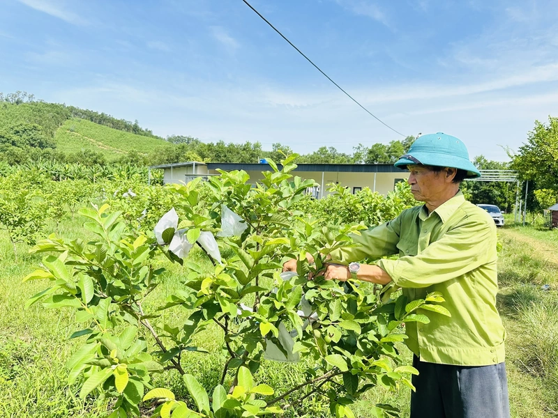 m88 cá cược thể thao trực tuyến Cống: Nhiệm kỳ mới, niềm tin, động lực, khát vọng lớn