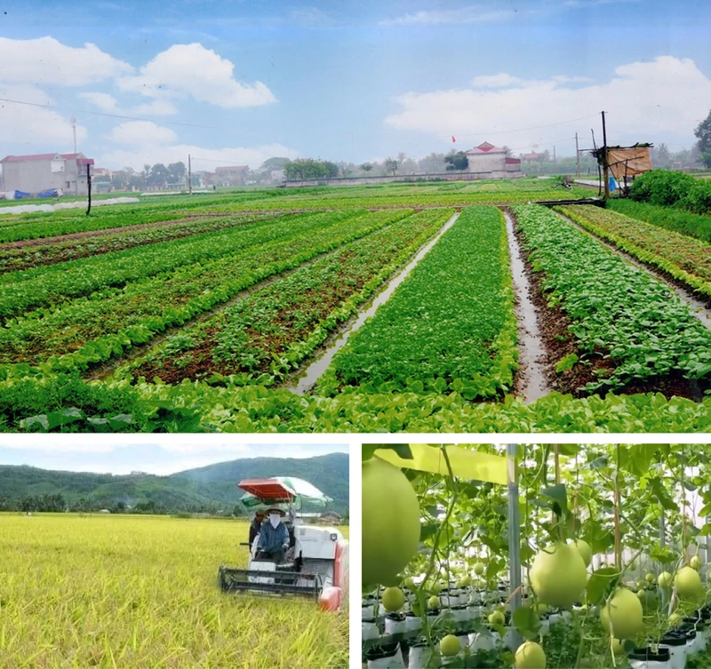 m88 cá cược thể thao trực tuyến Cống: Nhiệm kỳ mới, niềm tin, động lực, khát vọng lớn