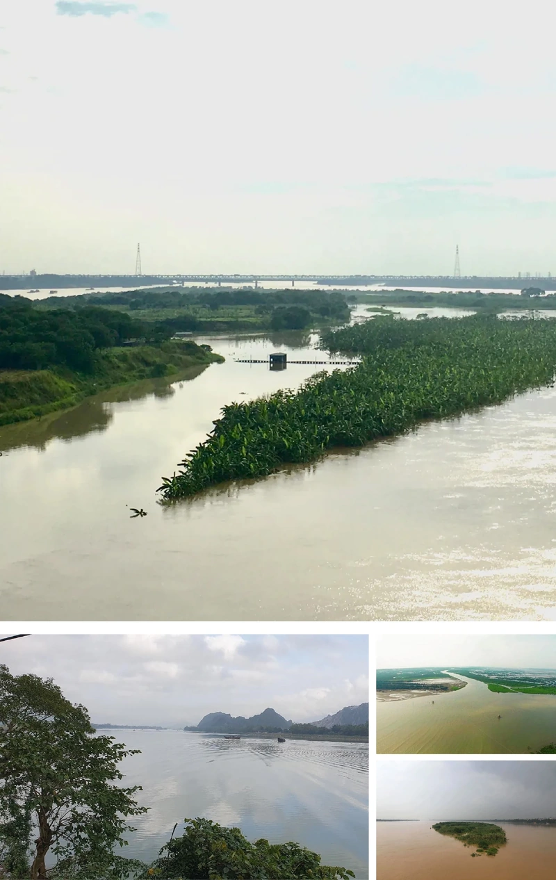 [E-Magazine]: Phù sa ở m m88