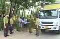 Đấu tranh chống buôn lậu lâm sản&nbsp;và phòng cháy, chữa cháy rừng dịp tết