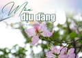 [E-Magazine]: Mùa dịu dàng