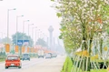 Có sắc hoa ban ánh ngời trong những ngày tháng năm lịch sử