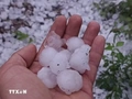 Gần 2.900 căn nhà bị hư hỏng, 102 cột điện bị gãy đổ do dông lốc và mưa đá
