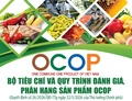 [Infographics] Bộ tiêu chí và quy trình đánh giá, phân hạng sản phẩm OCOP