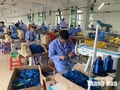 Nâng cao hiệu quả công tác&nbsp;cai nghiện ma túy và quản lý sau cai