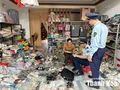 Vi phạm sở hữu trí tuệ ngày càng tinh vi: Cần hoàn thiện hành lang pháp lý