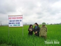 Nhà khoa học tận tâm vì nền nông nghiệp xanh