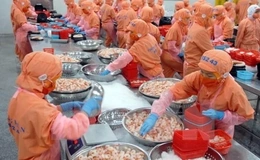 Làm gì để xây dựng thương hiệu cho tôm Việt Nam?