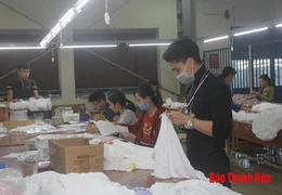 Giá trị sản xuất công nghiệp, tiểu - thủ công nghiệp trên địa bàn huyện Nga Sơn đạt 293,4 tỷ đồng