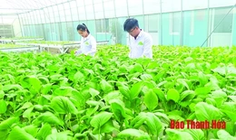 Khó tiếp cận nguồn vốn nông nghiệp công nghệ cao