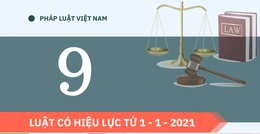 9 Luật có hiệu lực từ 1 - 1 - 2021