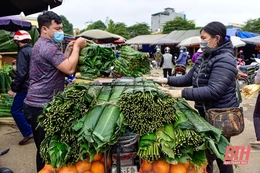 Mùa lá dong xuống phố
