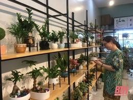 Nở rộ trào lưu chơi cây cảnh mi ni