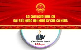 [Infographic] - Cơ cấu người ứng cử Đại biểu Quốc hội khóa XV của cả nước