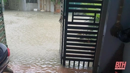 Câu hỏi sau mưa