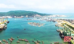 Nuôi cá lồng tự phát ở vịnh Nghi Sơn và những hệ lụy đã được dự báo