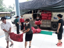 Nông dân Thanh Hóa chung tay giải cứu hành tím Sóc Trăng