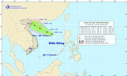 Tin về vùng áp thấp trên Biển Đông