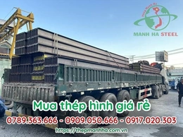 Những thông tin cần biết về thé p hình hiện nay trên thị trường