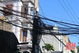TP Thanh Hóa phản hồi bài viết “Mạng nhện ở đường Trần Thị Nam” đăng trên Báo Thanh Hóa điện tử