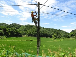 Điện lực Lang Chánh thực hiện chỉnh trang 5S lưới điện