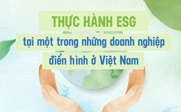 Thực hành ESG tại một trong những doanh nghiệp điển hình  ở  Việt Nam