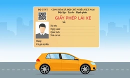 Hướng dẫn đăng ký trực tuyến đổi GPLX ô tô cho người dân ở các địa phương đang giãn cách xã hội