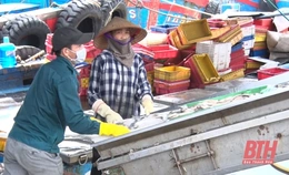 Sản lượng khai thác, nuôi trồng thủy sản của Nghi Sơn 9 tháng ước đạt 30.761 tấn