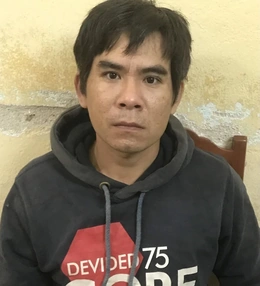 Bắt giữ đối tượng gây ra hàng chục vụ  trộm cắp tài sản