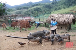 “Đồng hành cùng phụ nữ biên cương” - lan tỏa giá trị nhân văn