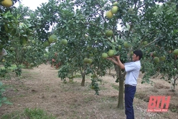 Tạo tiền đề vững chắc ngay năm đầu thực hiện nghị quyết đại hội