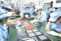 Hỗ trợ phát triển doanh nghiệp KH-CN và hệ sinh thái khởi nghiệp đổi mới sáng tạo tỉnh Thanh Hoá giai đoạn 2021-2025
