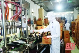 Sản phẩm OCOP Thanh Hóa sẵn sàng vào tết