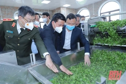 Bí thư Tỉnh ủy Đỗ Trọng Hưng dự lễ ra mắt sản phẩm mới chế biến từ rau má