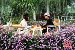 Xu hướng du xuân trải nghiệm đầu năm mới