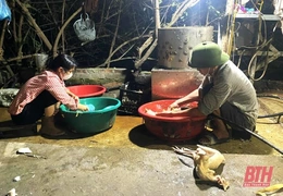 Thanh Hóa: Số cơ sở giết mổ&nbsp;gia súc, gia cầm nhỏ lẻ còn chiếm tới 99,5%