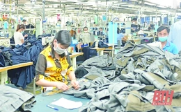 Tăng cường rà soát chênh lệch vốn chủ sở hữu so với vốn điều lệ của doanh nghiệp