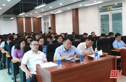 Bàn giải pháp đẩy nhanh tiến độ trồng cây gai xanh nguyên liệu