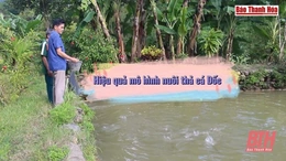 Người thành công với mô hình nuôi thả cá Dốc ở   vùng cao
