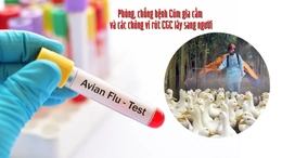 Không chủ quan với cúm A/H5