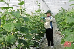 Thúc đẩy chuyển đổi số trong nông nghiệp